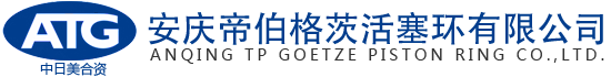 安庆帝伯格茨活塞环有限公司