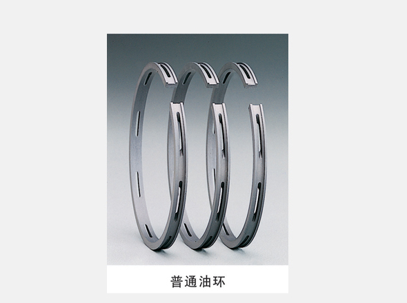 普通油环